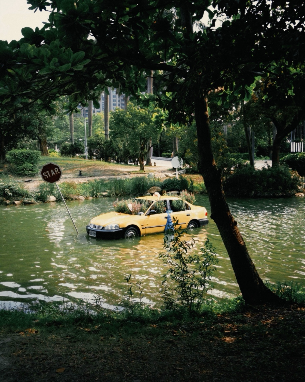 A photographic print simulation applied to a flooded street scene in PeekLUT